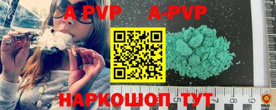 стафф Донской