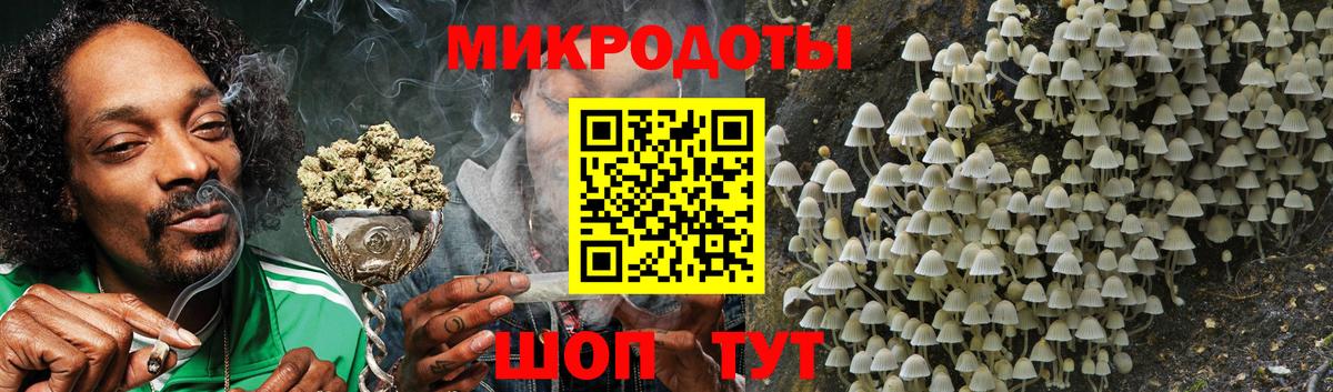 Псилоцибиновые грибы прущие грибы  Псилоцибиновые грибы Magic Shrooms  Кызыл  Вход с VPN 