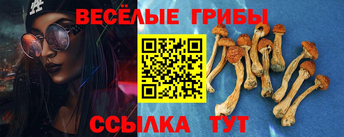 Галлюциногенные грибы мухоморы Кызыл